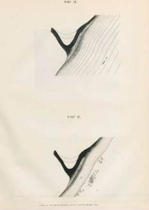 Fig. 10. Fig. 11.
