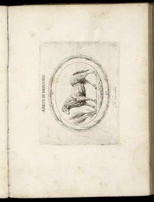 Ariete Di Mercurio