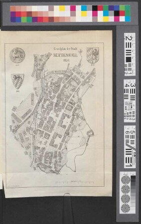 Grundplan der Stadt Reichenhall 1858