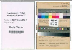 Entnazifizierung Werner Strube , geb. 04.05.1902 (Apotheker)