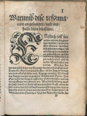Warumb dise reformacion angefangen/ vnd innhalle dises büchlins.