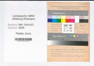 Entnazifizierung Erich Pfeiffer, geb. 16.11.1904 (Kreisinspektor)