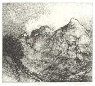Bräuning-Alm