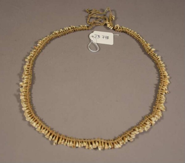 Necklace made from animal teeth (?)