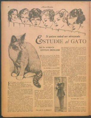 Estudie al gato : Si quiere usted ser atrayente