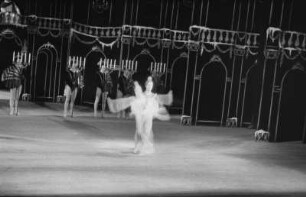Szenenbilder aus dem Ballett "Dornröschen" von P. Tschaikowski, Städtische Oper Berlin, 1955