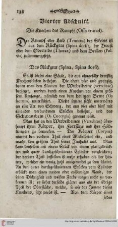 Vierter Abschnitt: Die Knochen des Rumpfs (Ossa trunci)