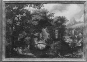 Waldlandschaft mit Steg über eine Schlucht