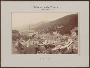 Ansicht von Schiltach im Kinzigtal vom Schlossberg aus