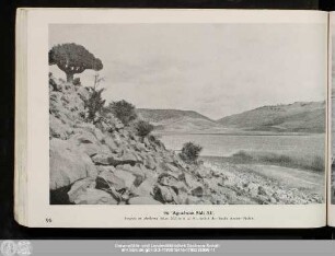 96. Aguelman Sidi Ali.