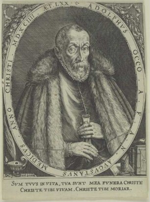 Bildnis des Adolph Occo (* 1524)