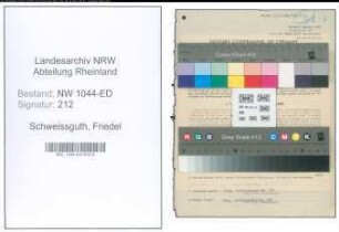 Entnazifizierung Friedel Schweissguth , geb. 23.10.1919 (Lehrerin)