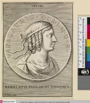 VABALATO FIGLIO DI ZENOBIA.