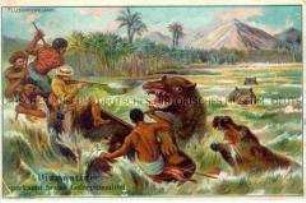 Sammelbild "Die Jagd auf Flußpferde; mit Werbung für Diamantine-Schuhcreme der Firma Rudolf Starcke; um 1900