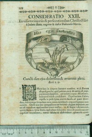 Consideratio XXIII. Ex visis tot juriis & persecutionibus Christo Filio à Judæis illatis, augetur & dolor Dolorosæ Matris.
