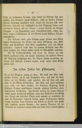 Im ersten Jahre der Pflanzung