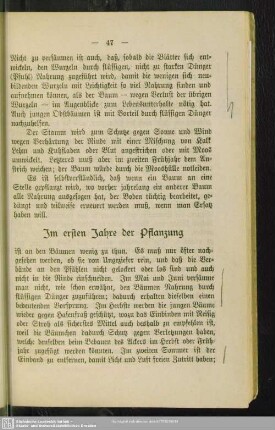 Im ersten Jahre der Pflanzung
