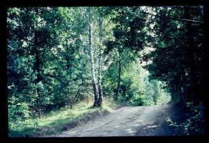 Grunewald 12.8.67.