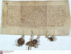 Nidda: Junggraf Gottfried zu Ziegenhain und seine Hausfrau Agnes bekennen, von der Stadt Nidda 800 Pfund Heller geliehen zu haben, verpfänden den ...