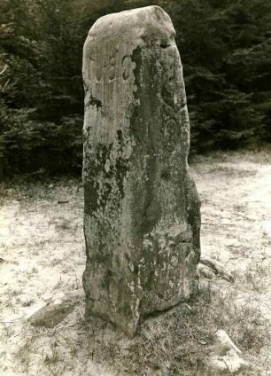 Kaiserslautern: Grenzstein im wagnertal. Wilking