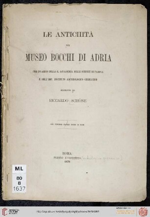 La antichità del Museo Bocchi di Adria
