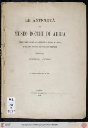 La antichità del Museo Bocchi di Adria