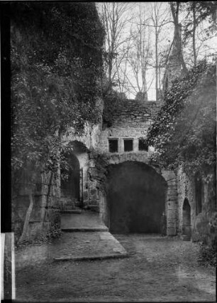 Hardenburg Burgruine