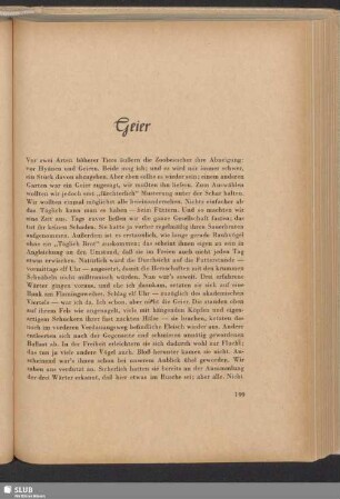 Geier