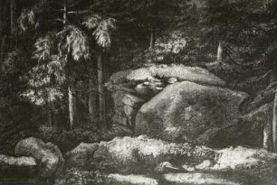 Waldlandschaft mit Felsgruppe
