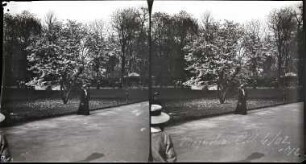 Paris. Jardin des Champs-Élysées
