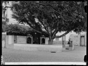 Funchal, Brunnen am Rondo