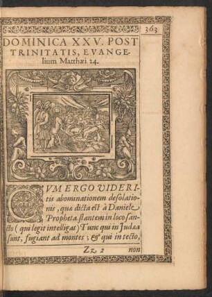 Dominica XXV. Post Trinitatis, Evangelium Matthaei 24.