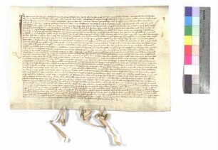 Vergleich zwischen Brun von Griesingen und Kloster Wiblingen wegen Leibeigener zu Hüttisheim