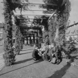 Weimar. Am Frauenplan