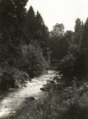 Weißeritztal. Rabenauer Grund
