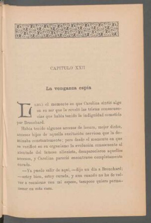 Capítulo XXII - La venganza espía