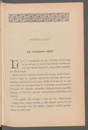 Capítulo XXII - La venganza espía