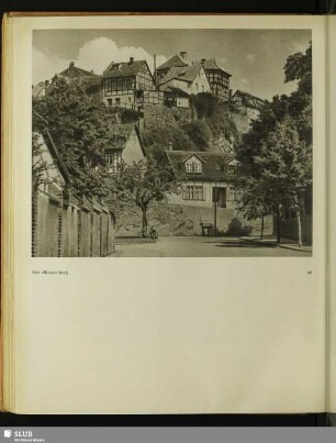 Der Münzenberg