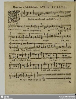 LVI. Trachtet am ersten