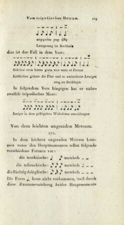 Von dem leichten ungeraden Metrum.