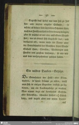 Ein wildes Tauben-Gehäge