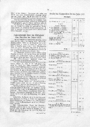 Jahresbericht über die Tätigkeit des Vereins im Jahre 1917
