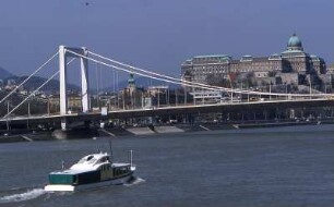 Budapest - Elisabethbrücke : Burgberg und Elisabethbrücke. Aufgenommen in Budapest 2001
