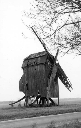 Jessen (Elster)-Gentha. Bockmühle