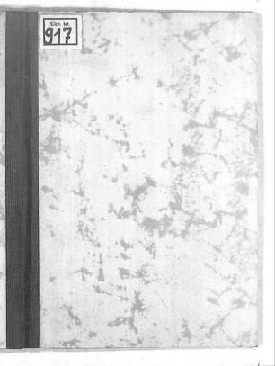 Guarini Veronensis regulae grammaticae - BSB Clm 917