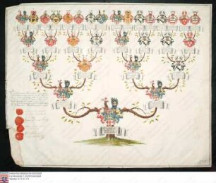 Ahnenprobe des Ludwig Carl Schenk v. Schweinsberg. - ausgefertigt 1777 Juni 9, Pergament
