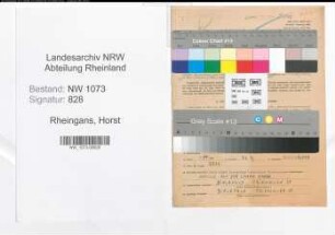 Entnazifizierung Horst Rheingans , geb. 24.08.1913 (Amtsgerichtsrat)