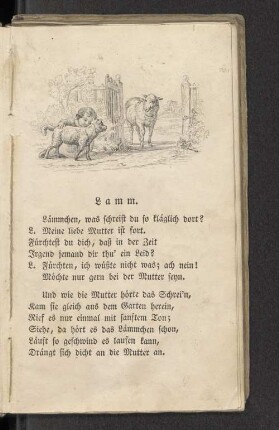 Lamm.