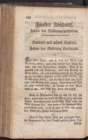 Fünfter Abschnitt. Fehler des Nahrungsgeschäftes