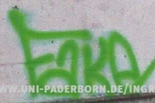 FaKe